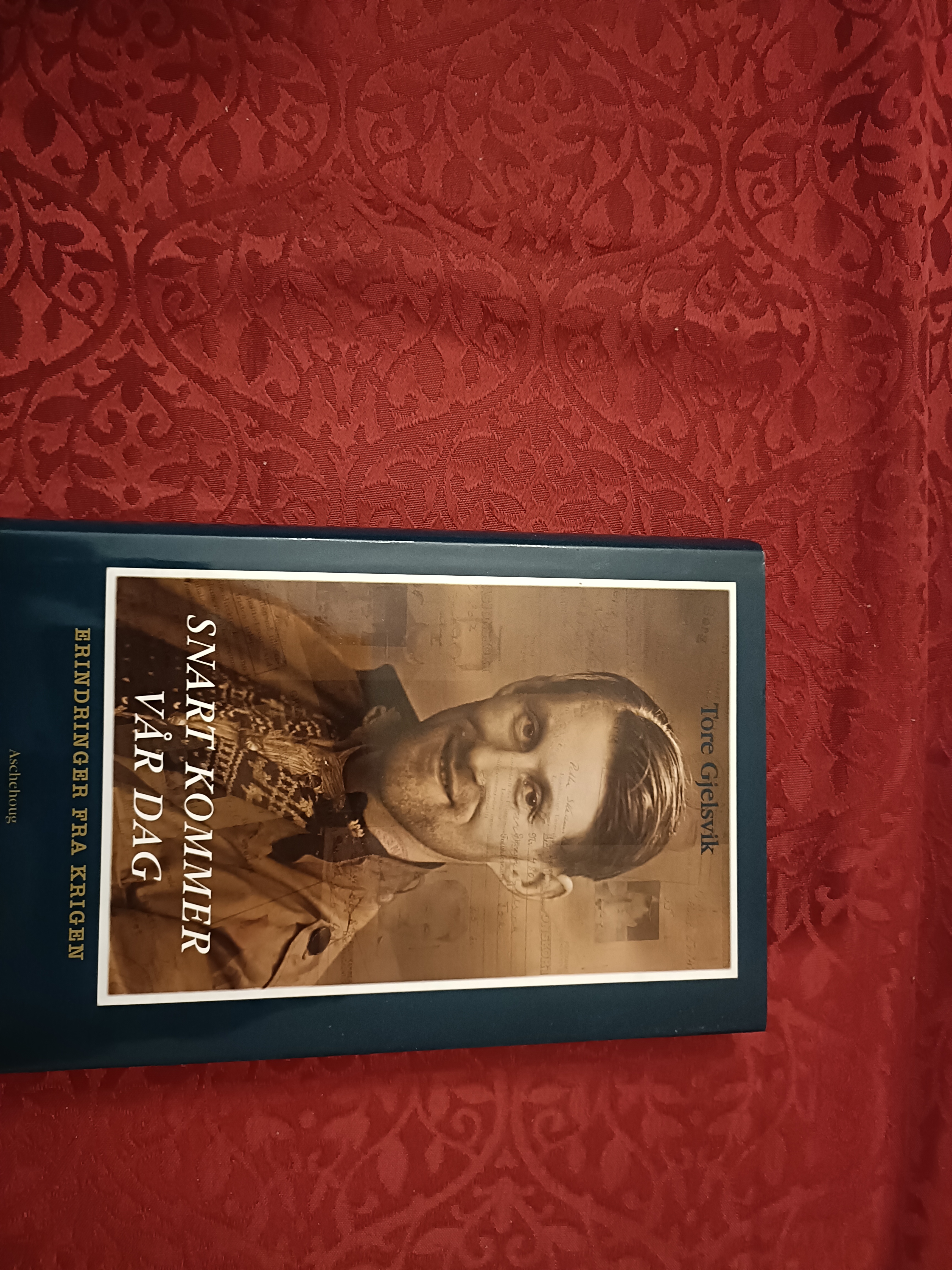 Snart kommer vår dag. Erindringer fra krigen