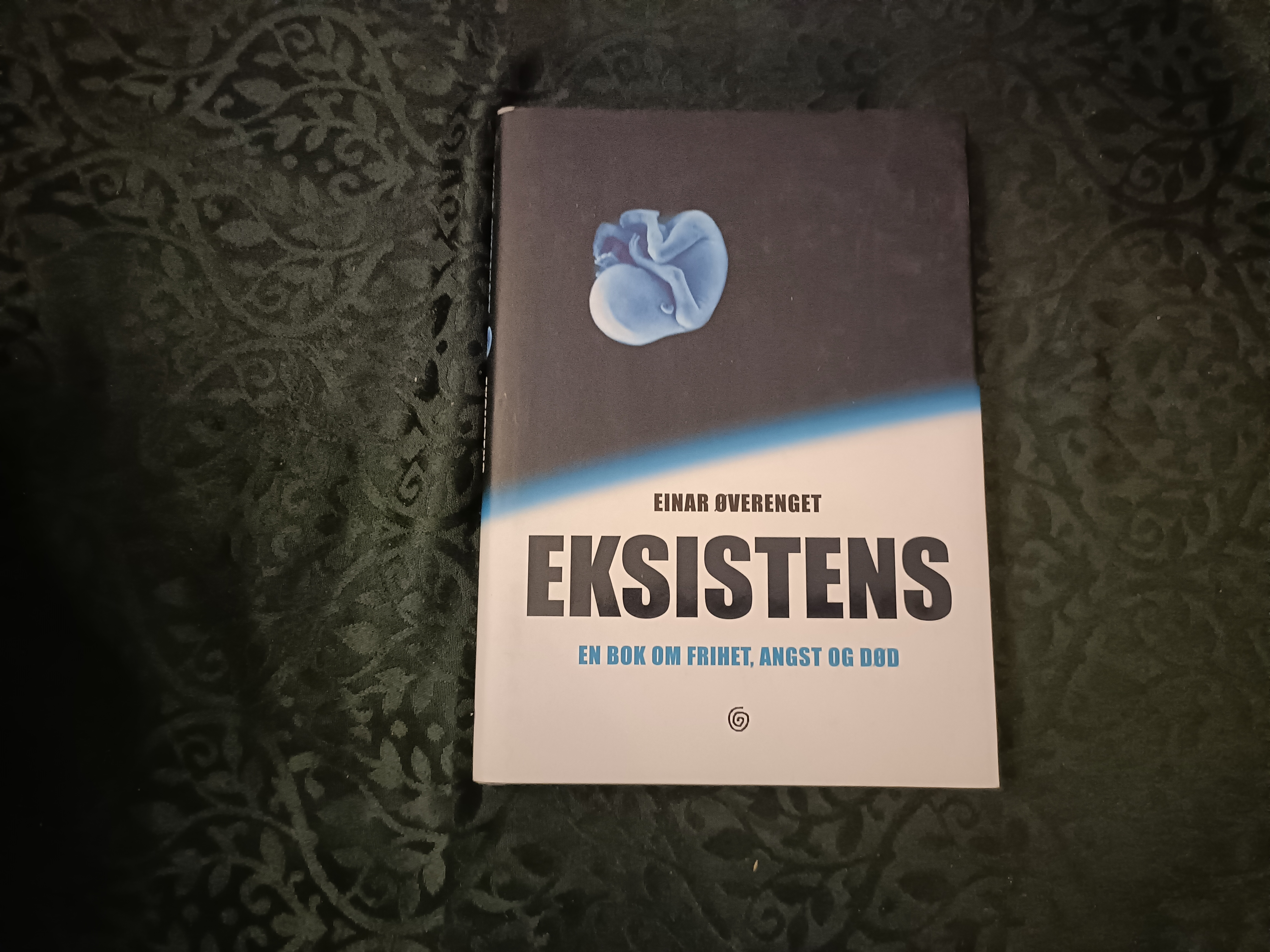 Eksistens. En bok om frihet, angst og død
