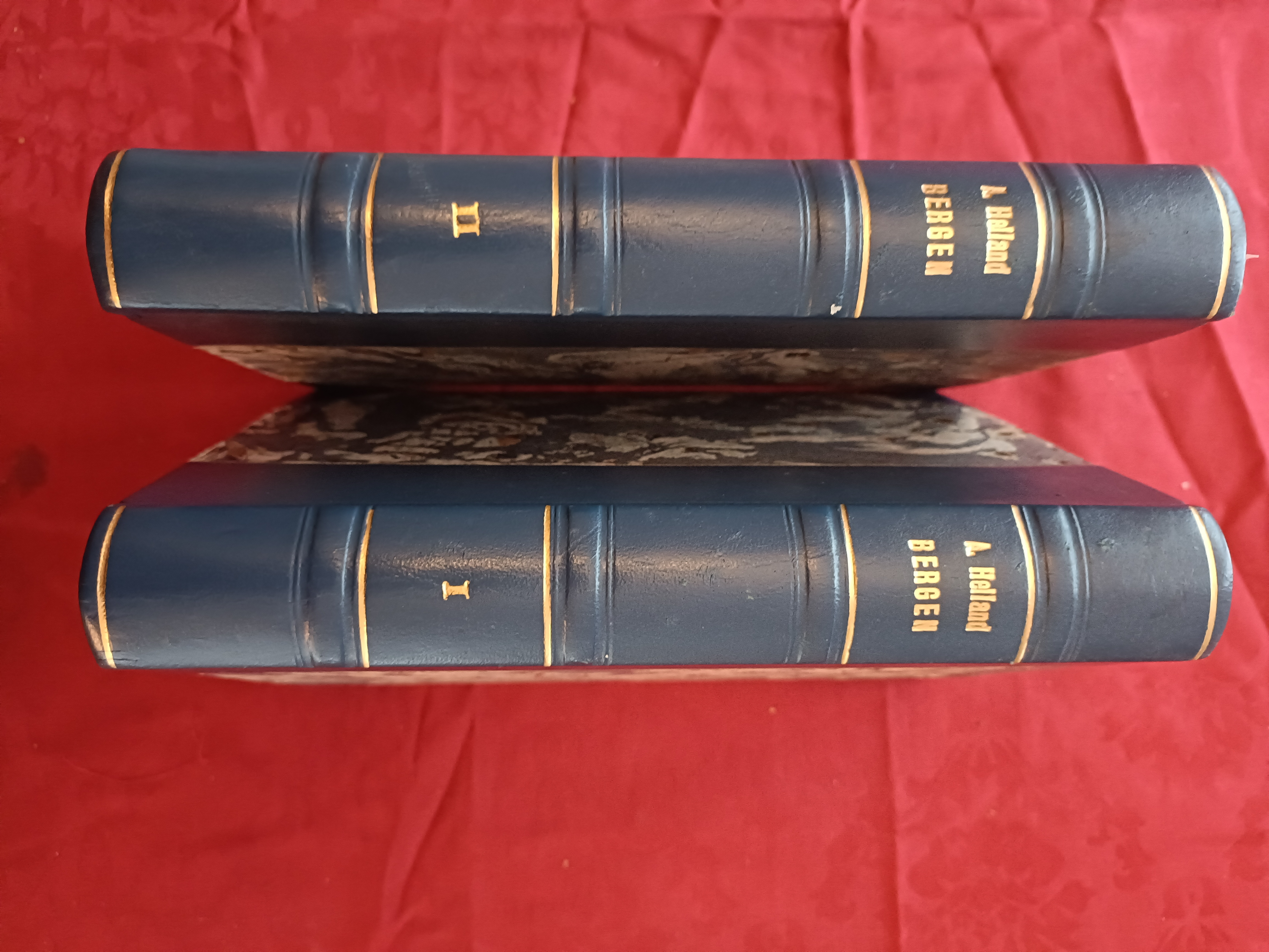 Topografisk-statistisk beskrivelse over Bergen. Bind 1 - 2