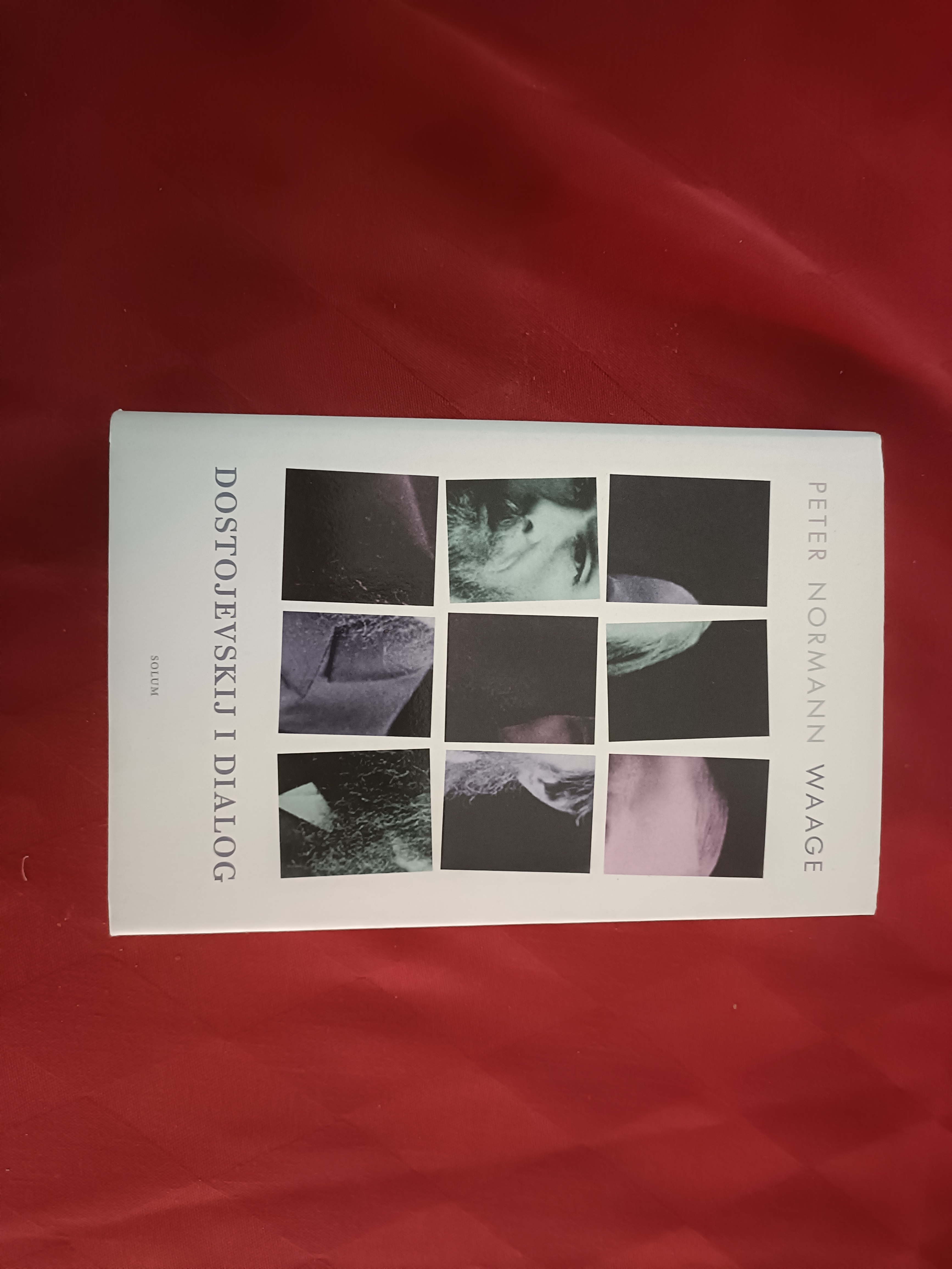 Dostojevskij i dialog. Essays
