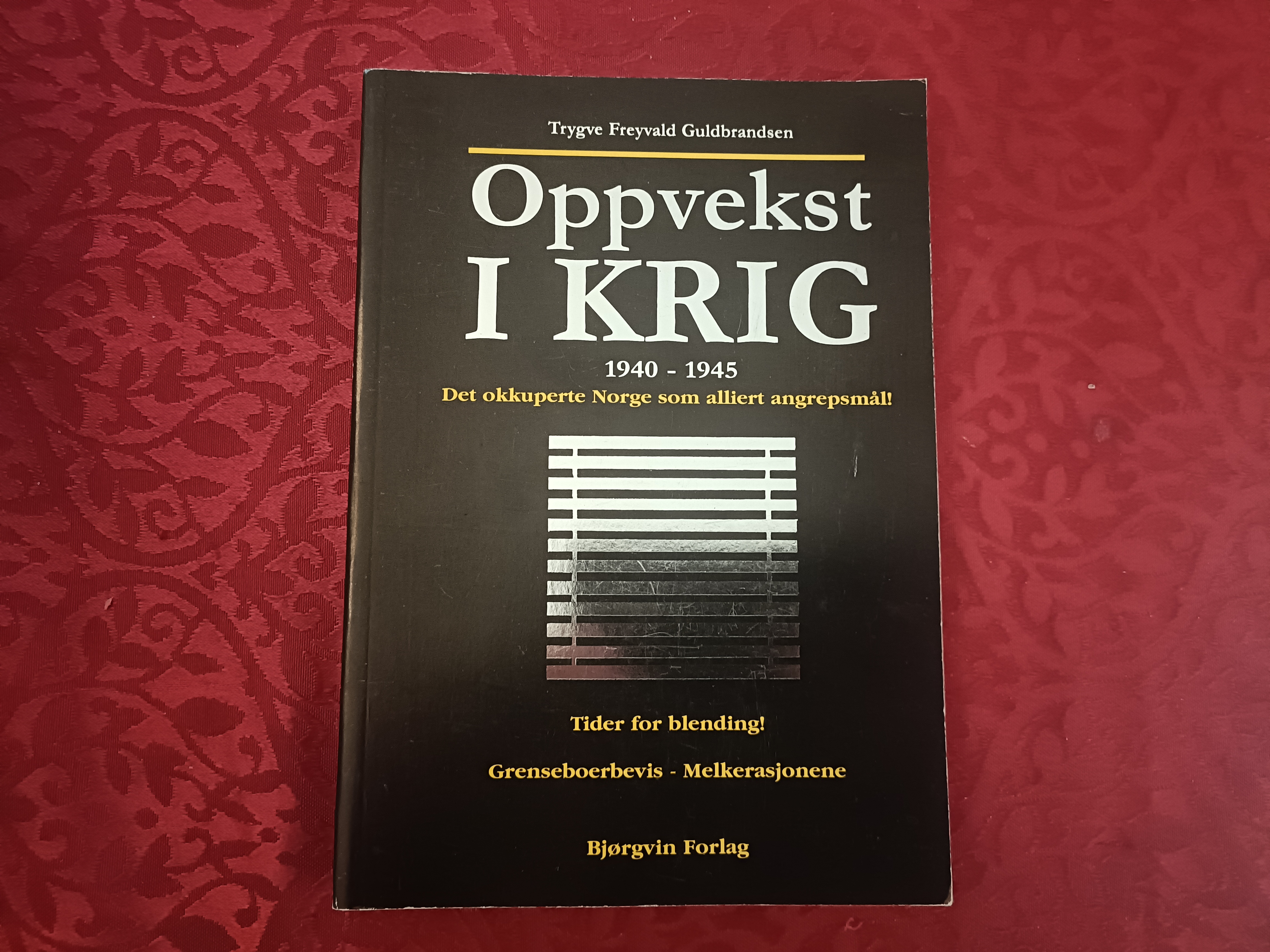 Oppvekst i krig