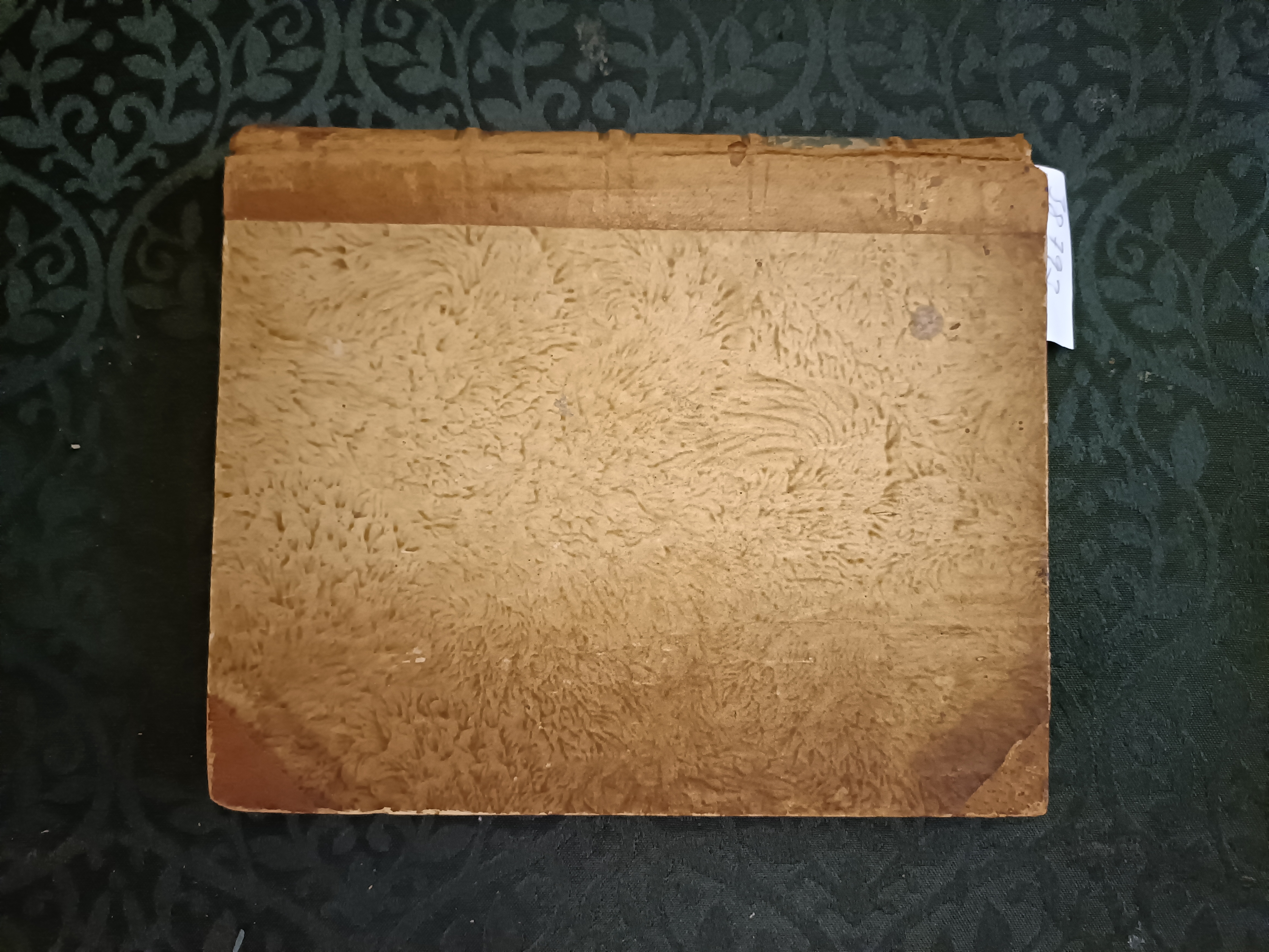 Jonathan. Et Digt i ti Sange