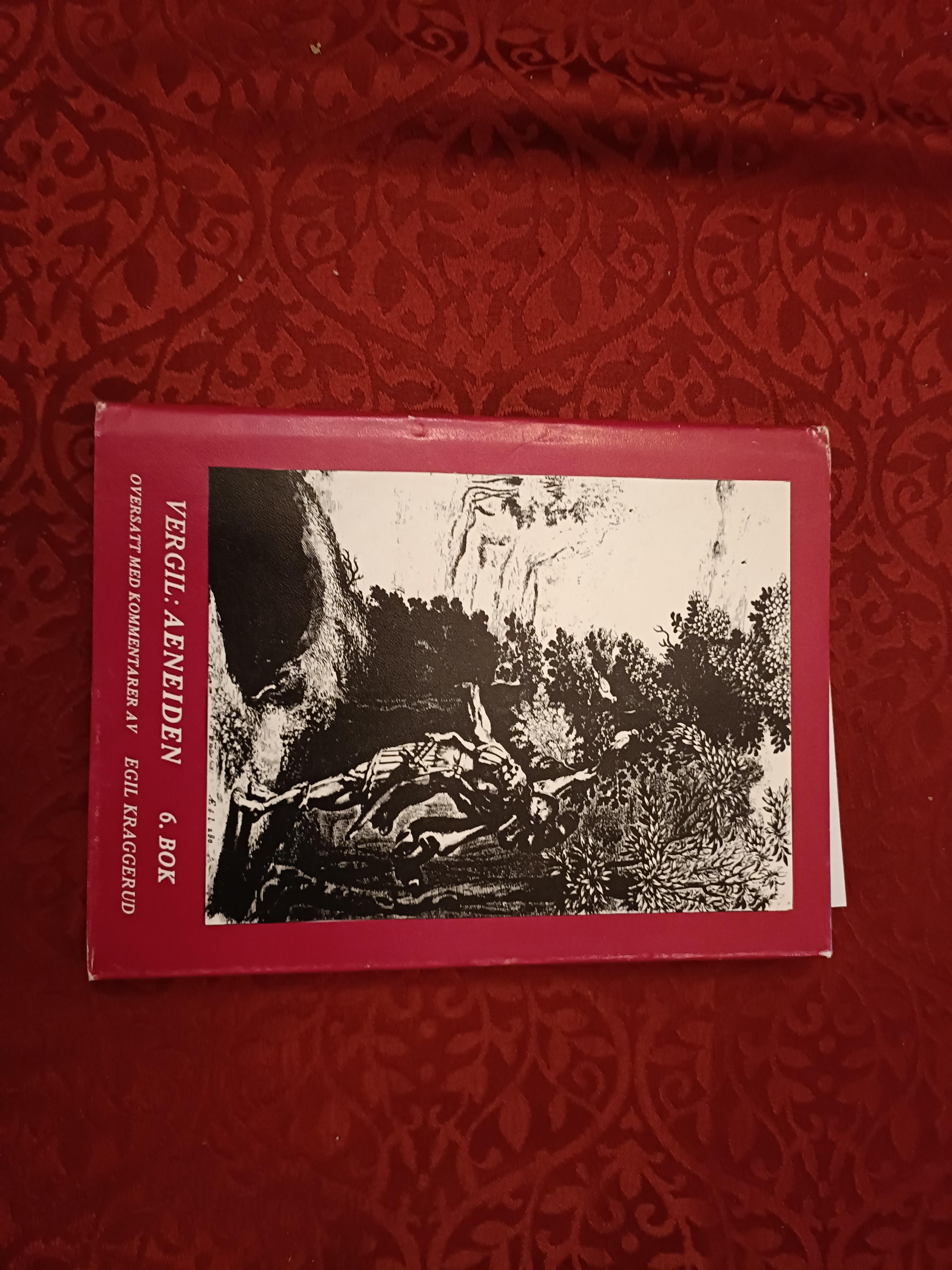 Aeneiden. Sjette bok. Oversatt med kommentarer og etterord av Egil Kraggerud