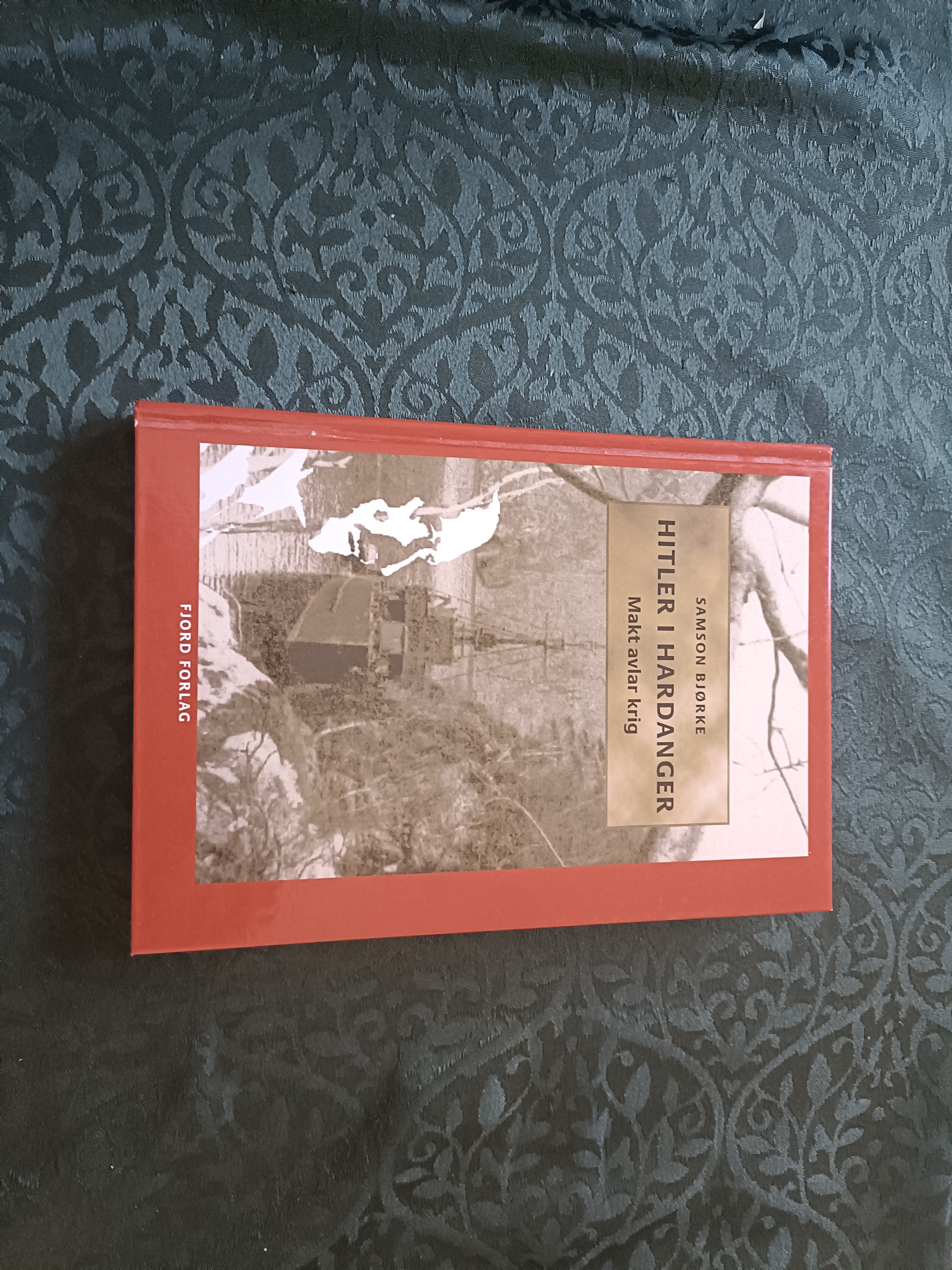 Hitler i Hardanger. Makt avlar krig