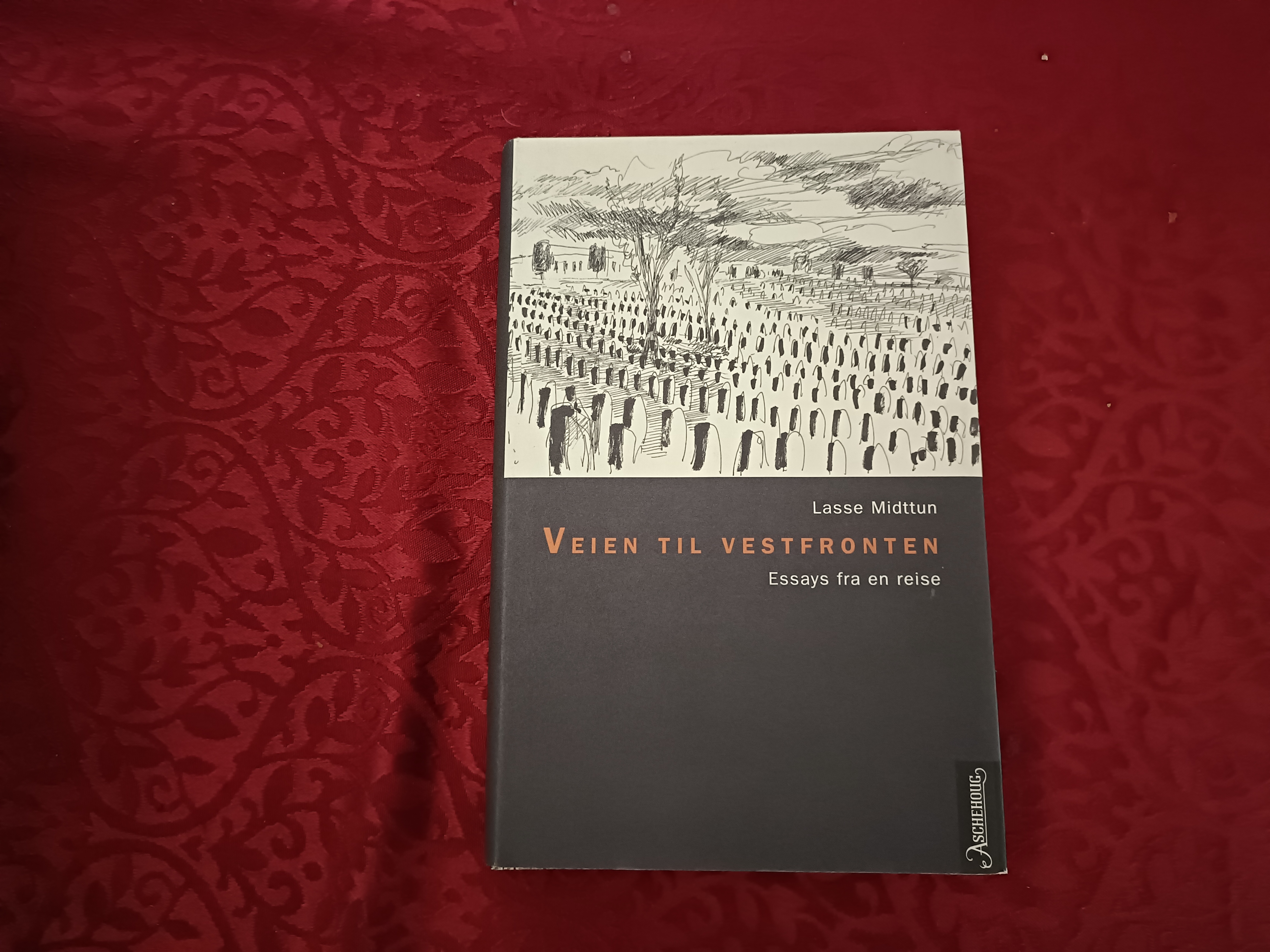 Veien til vestfronten. Essays fra en reise. 