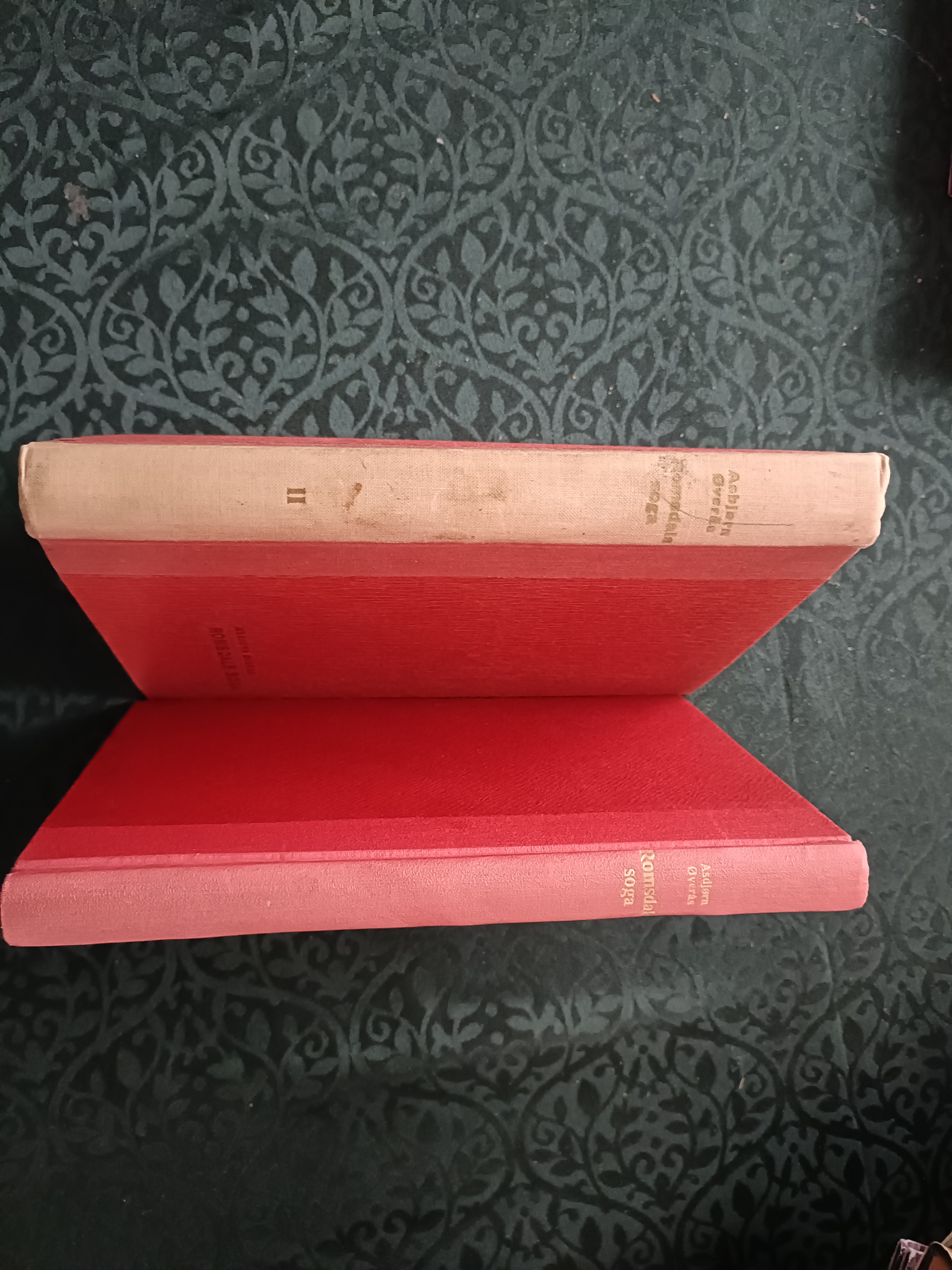 Romsdals soga. I - II. band 1: Fornalderen og sogetida. BanII: Dansketida